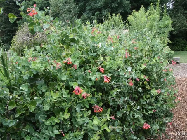 Fresh Ideas for Updating Your Garden Layout Today