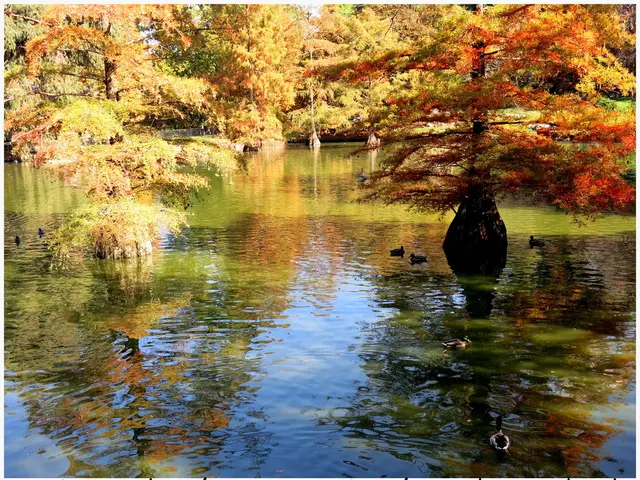 Lakefront Village Captured in Stunning Documentary Film