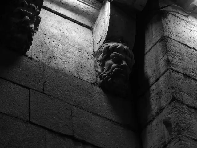 Essential Plastering Methods and Varieties for a Successful Home Renovation Completion