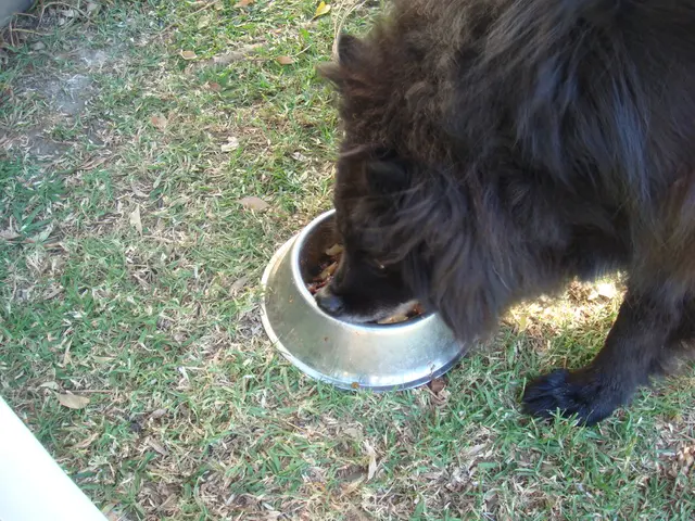Subterranean Rodent Metropolises: Prairie Dogs and their Subterranean Architectural Feats