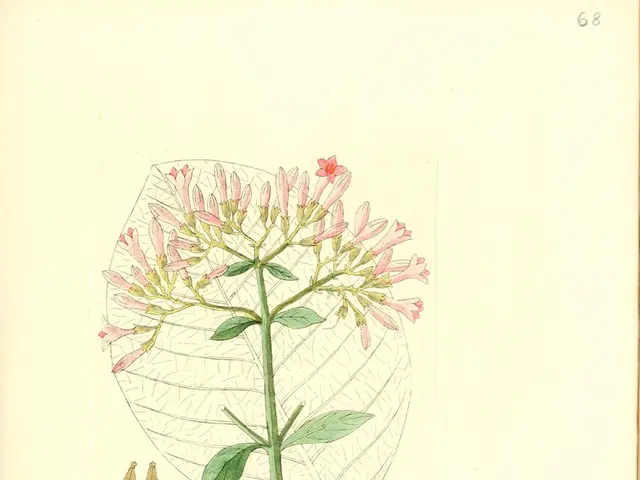 "Quick Guide on Propagating Plants Through Stem Cuttings Within a Fortnight"