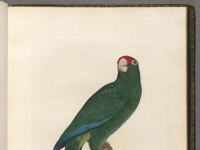 Exploring the Realm of Marsh Dwellers: A Beginner's Guide to Wading Birds at Martlesham Wilds