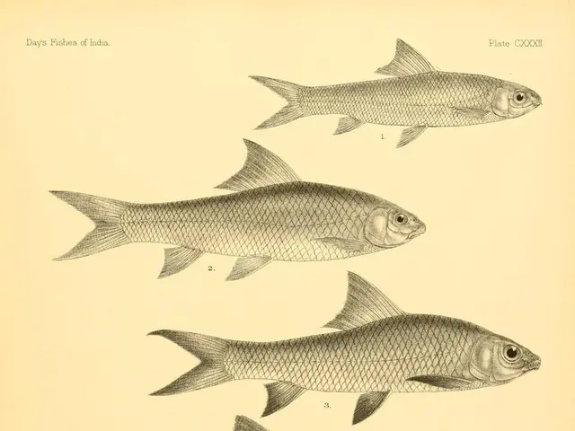 Unveil the Mysteries: Discovering the Hidden Prowess of Five-Letter Words Concluding in 'R'