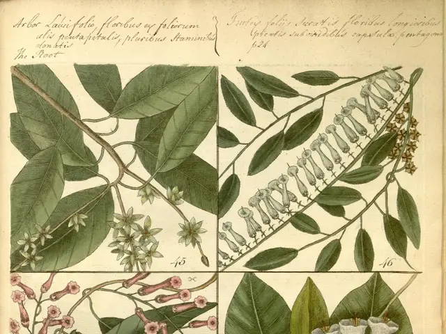 The Insider's Guide to Companion Planting Techniques