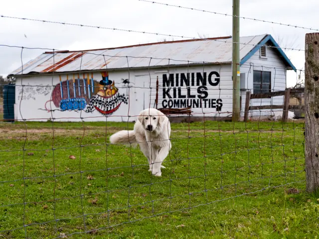 Increasing Number of Millennials Purchasing Properties Primarily for Their Canine Companions