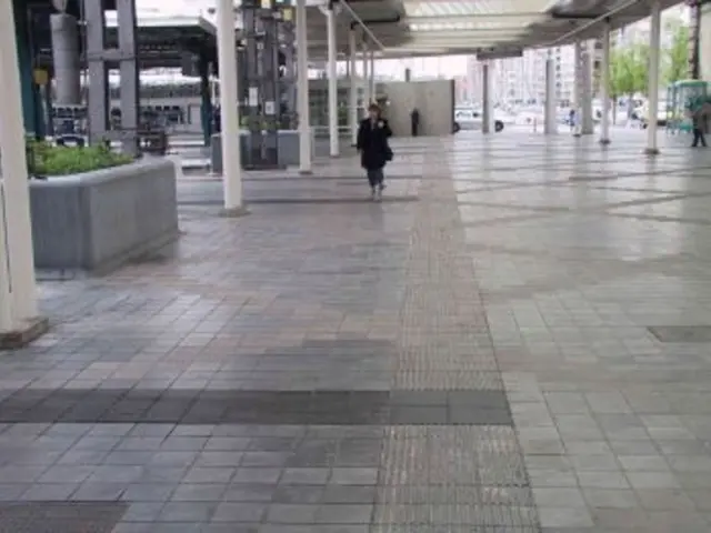 Caring for Walking Iris: A Guide for Neomarica Iris Maintenance