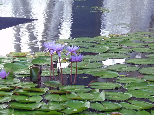 Reinvent Your Unremarkable Bathroom: 6 Tropical Shower Plants for a Rainforest Experience