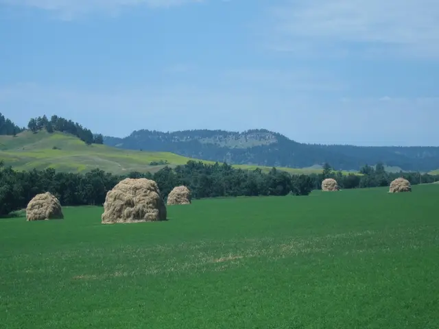 Contest "By Nature" has concluded