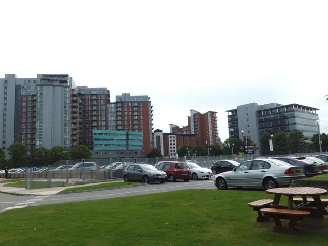 The parking area within the forest has been asphalted.