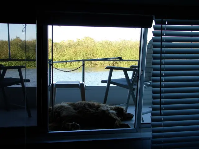 Summer Essentials: 26 Handy Items to Acquire from Amazon Canada