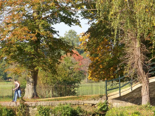 Strengthening Friendships: 7 Methods of Exploring Nature that Foster Deep Connections