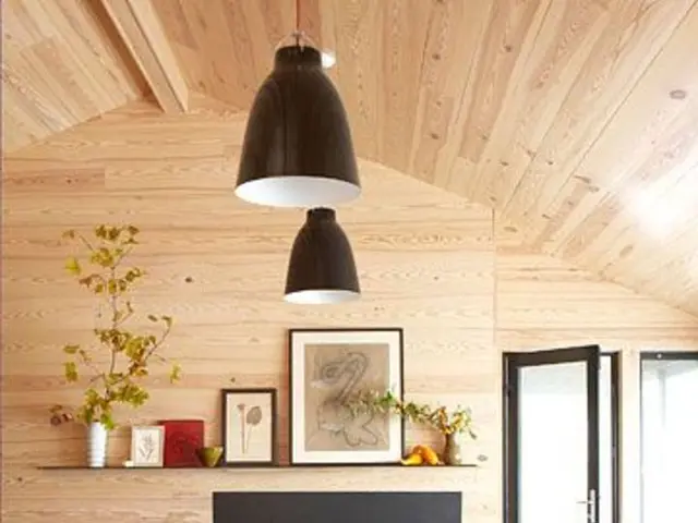 Gardening blunders possibly causing your outdoor space to appear diminutive in both sight and feel?