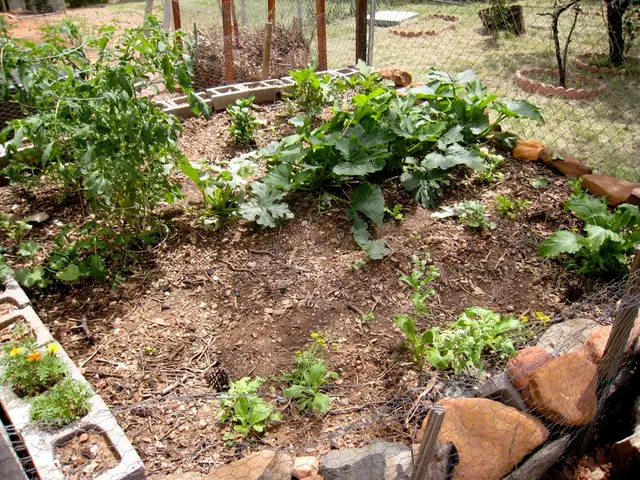 Starting a Soil Mixing Plant and its Expansion Journey