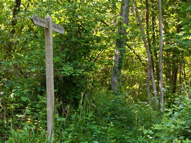 Introduction to Graph Plotting with Python: A Guide to Grammar of Graphics