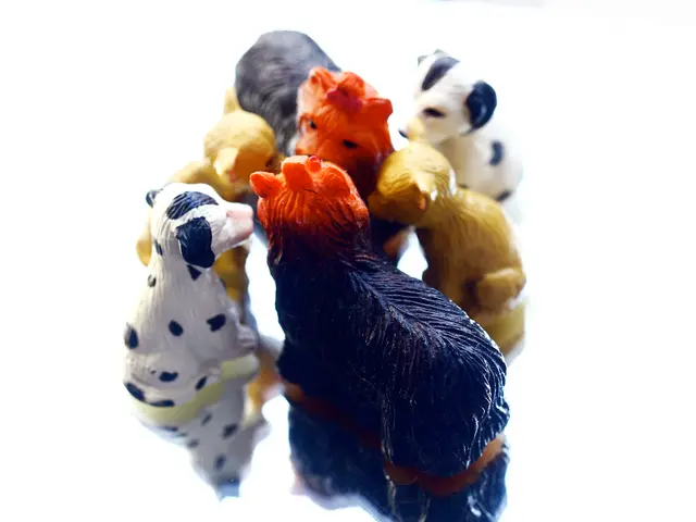 Race Away with LEGO! Introducing the Initial LEGO Super Mario: Mario Kart Playsets