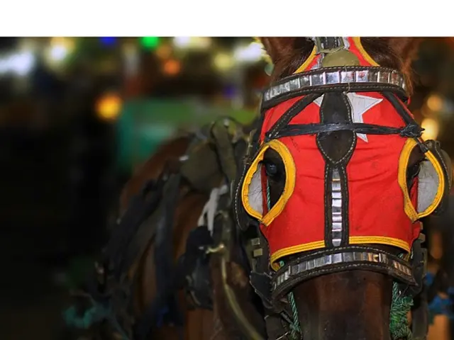 German city nearing exhaustion of sewing capacities