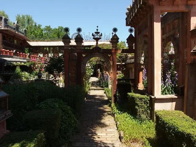 Almaty Plans to Plant Over 380,000 Trees in the Coming Year