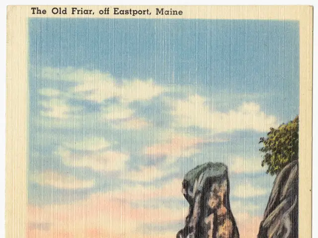 Wet, Webby Day Document