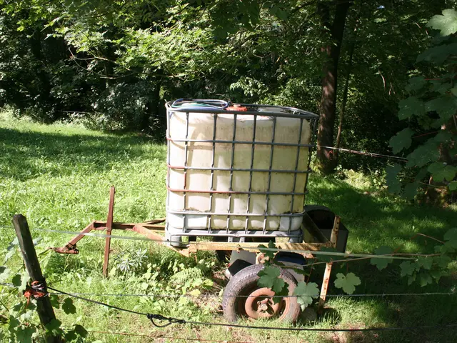 Diplomats Imbuing Summer, Radiance, and Spotlessness as They Embark on Their Grilling Journey