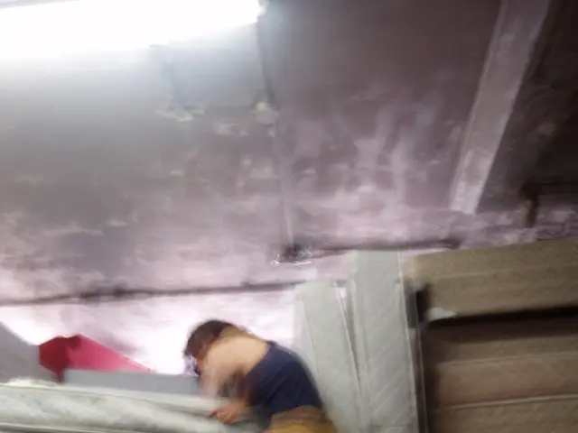 Exceptional Mattress Elimination in Town: A Remarkable Experience to Remember