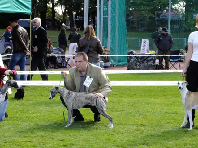 Lakeside Volunteer Enlistment Event - Lackford Wetlands