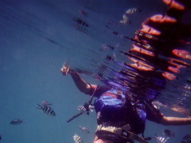 Following the outbreak, the Baggersee in Karlsruhe has been emptied.