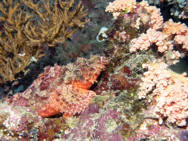 Cultivating Ocean Health for Earth's Prosperity