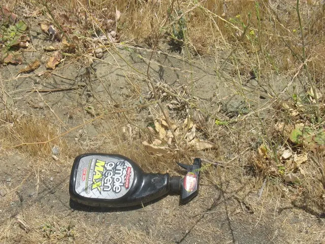 Enhancing Soil Fertility Through Waste Reuse: Strategies for Efficient Composting