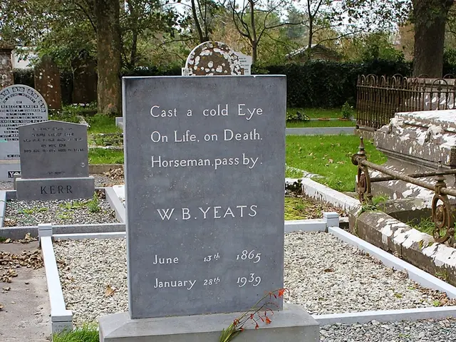 Celebrating a Decade of Print Issues and Community Growth with Atmos