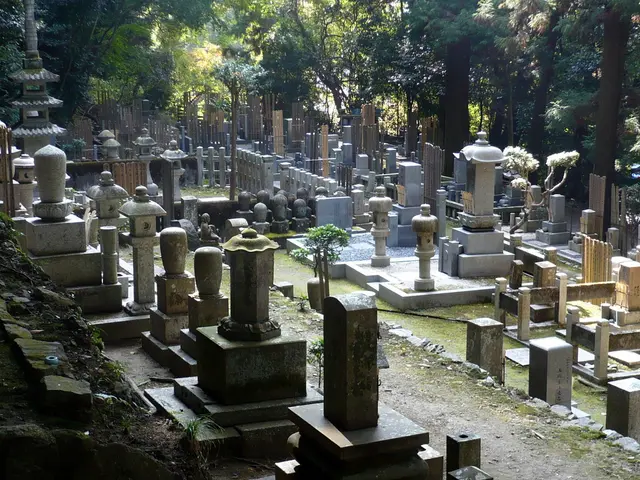 Tree Burials in Forests: Yearning for Serenity Beneath Woodlands