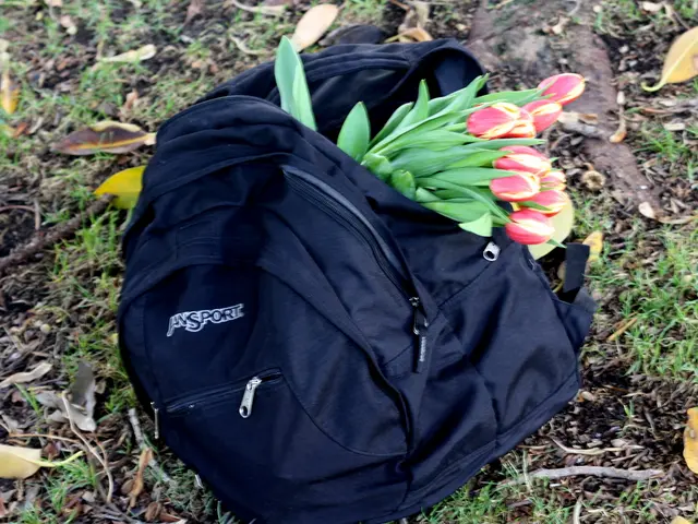 Take a chance to win a valuable SV20 Series gardening tools collection from SEALEY, with a total...