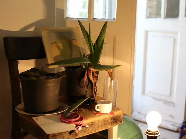 Kate Hudson's recommended white-and-wood chair has resolved a quandary regarding patio furniture;...