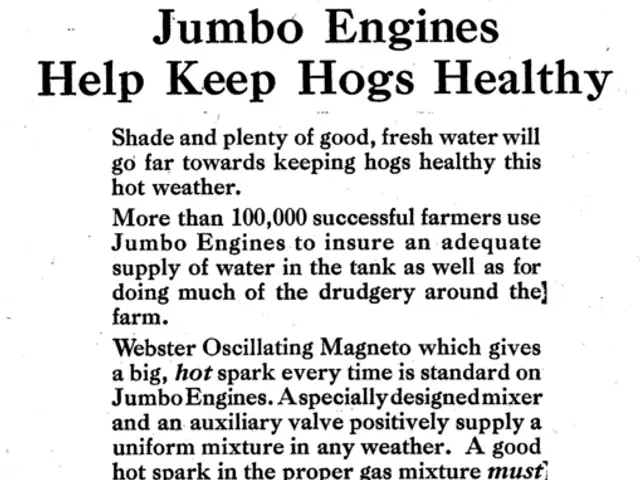 Wild Text-to-Braille Machine with a Vintage Polaroid Appearance Transforms Written Words into...