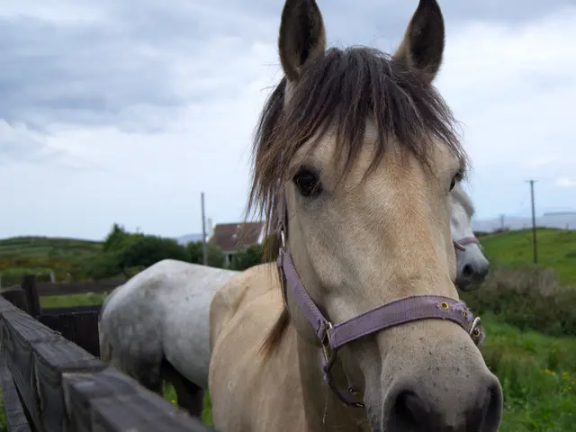 A dozen enchanting properties up for purchase, featuring a £600k countryside cottage that might...