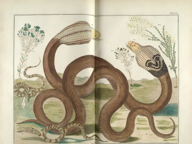 Activities Happening at the Botanical Garden in October