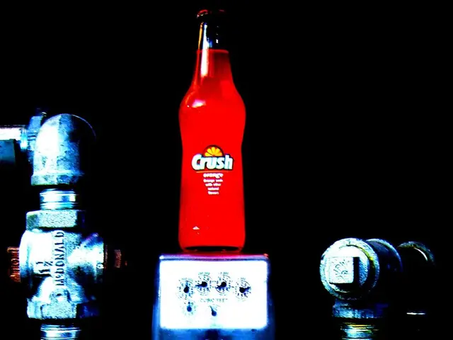 Affordable Christmas Gifts for My Outdoor-Loving Friends in the Cyber Monday Deals