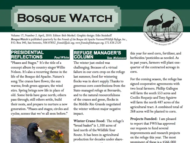 Seagulls exhibit a remarkable act of balancing during their mating ritual.