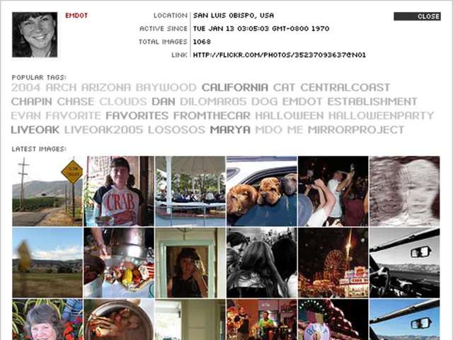 Various Perm Styles Catering to Hair Lengths and Textures