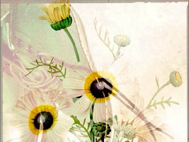 Breaking your step count record becomes a desirable goal with Allbirds' Strider shoe.