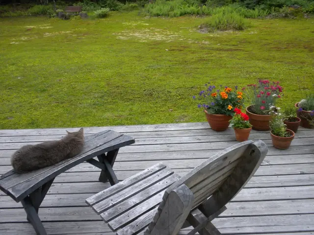 A Fresh Wellness Retreat Customized to Your Needs