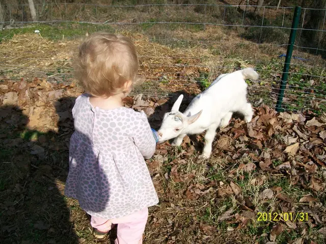 Forest Event Scheduled in Wooded Region for the Year 2025