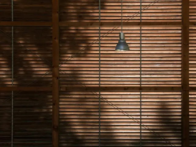 Upgrade Your Living Area with Wooden Blinds: A Fashionable Home Enhancement