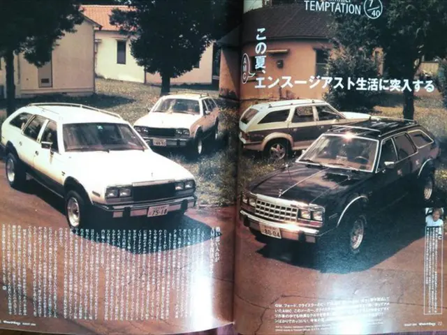 In this picture, it looks like a magazine with an image of vehicles, houses, trees, grass, road,...