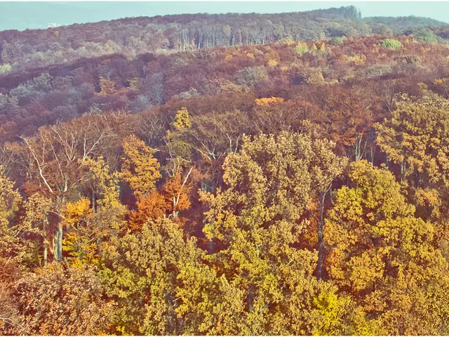 In the picture there is a lot of greenery with plenty of trees all around.