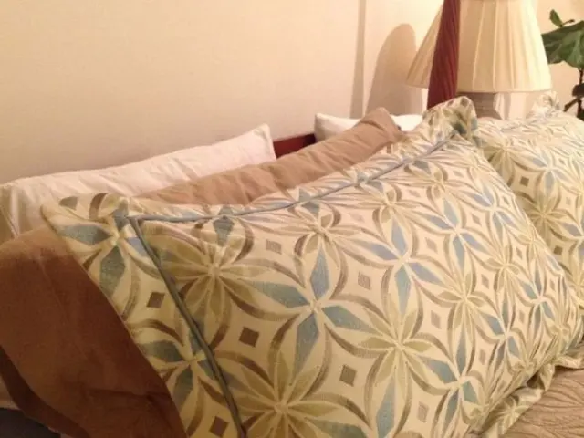 In the picture we can see a pillows, wall, lamp and plant. The pillows are white, brown and some...