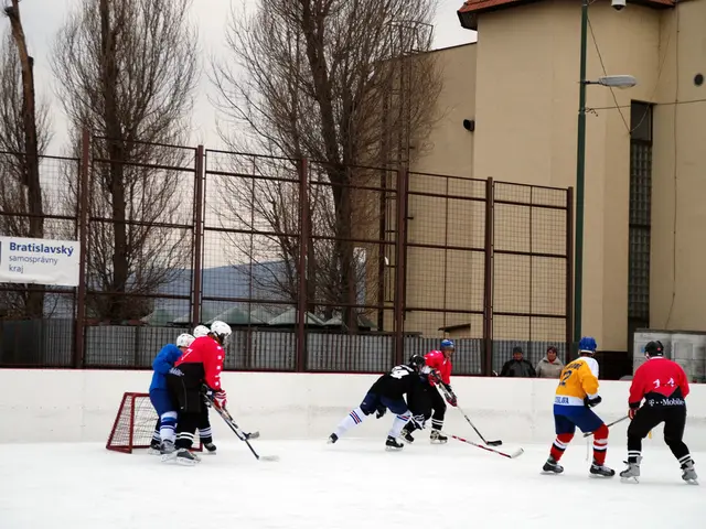 In this image we can see persons playing ice hockey. In the background there are sky, trees,...