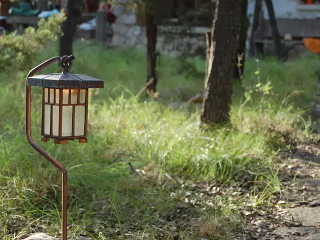 In this picture there is a light attached to a iron rod towards the left. At the bottom there is...