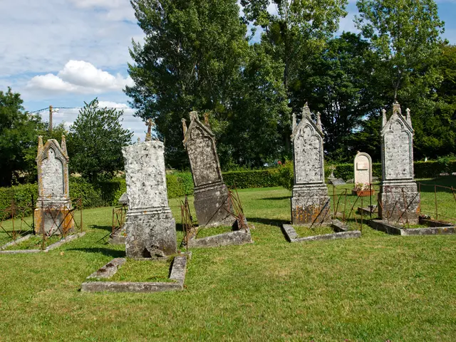 This is a picture of a graveyard, where there are plants, grass, house, pole, trees,sky.