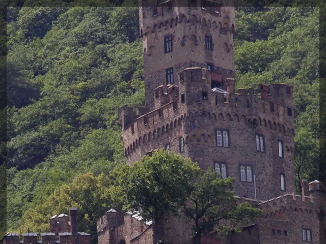 In the image there is a castle with many windows in the front and there are trees in the background...