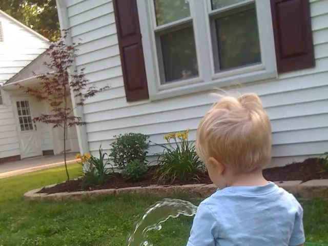 In the foreground of this image, there is a boy watering the grass with a pipe and in the...